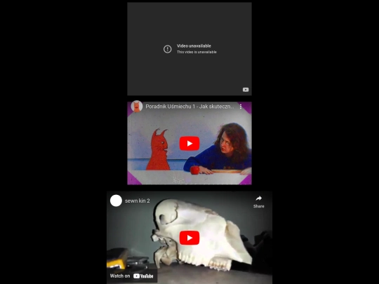 vids screenshot