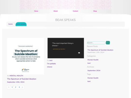 blog screenshot