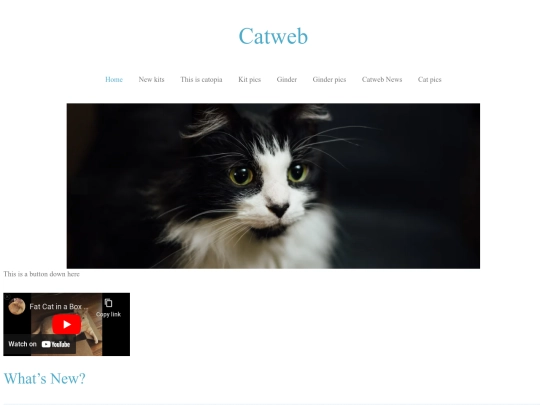 catweb/Catweb_files/Catweb screenshot