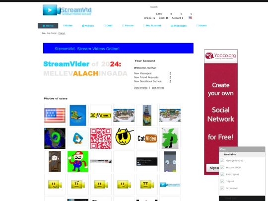 streamvid screenshot