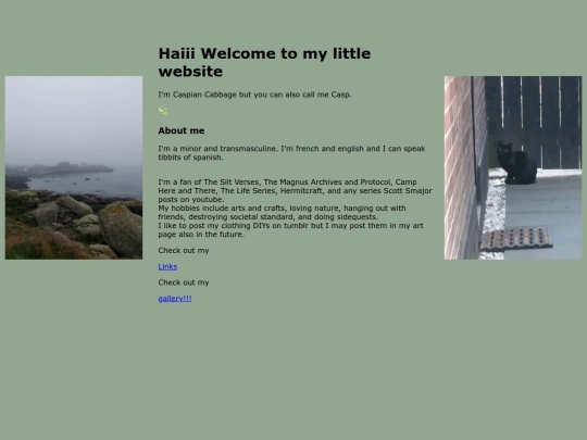 home screenshot