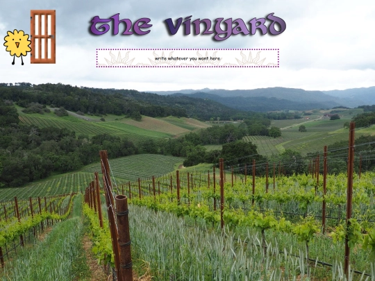 home/the-vinyard screenshot