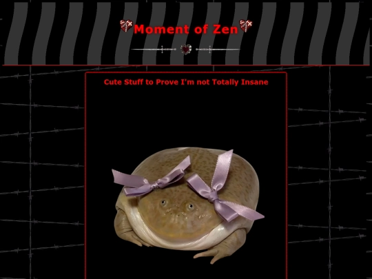 momentofzen screenshot