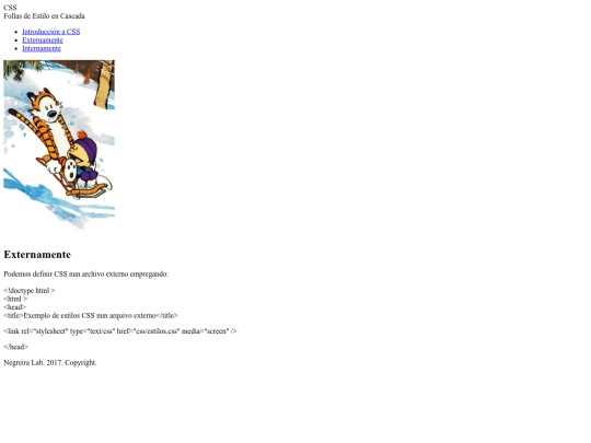 WebIntroCSS/externamente screenshot