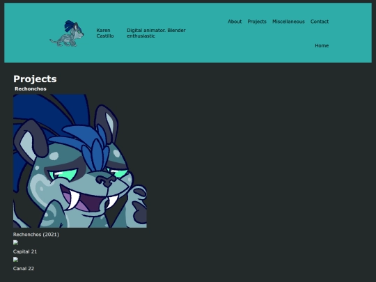 Projects screenshot