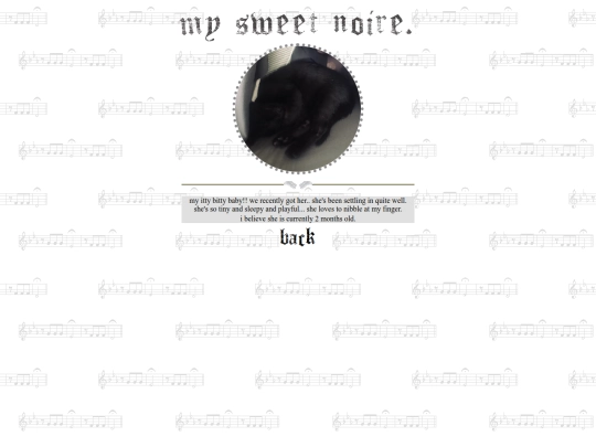 kitty screenshot