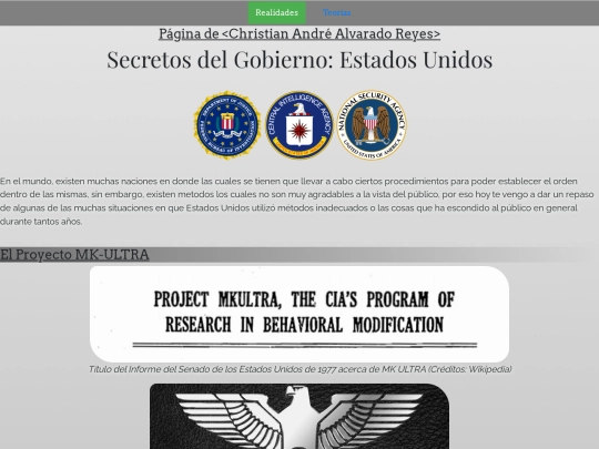 website1/realidades screenshot