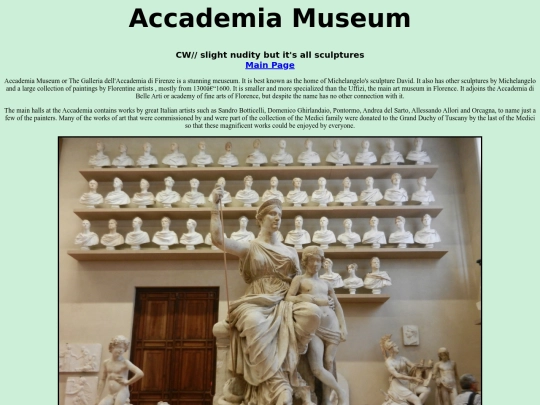 tourist/AccademiaMuseum screenshot