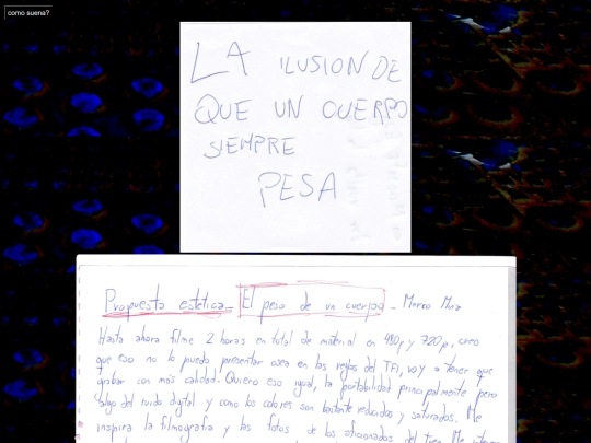 notas screenshot
