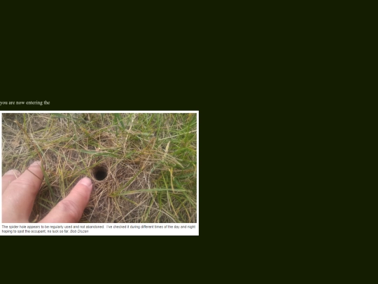 thehole screenshot