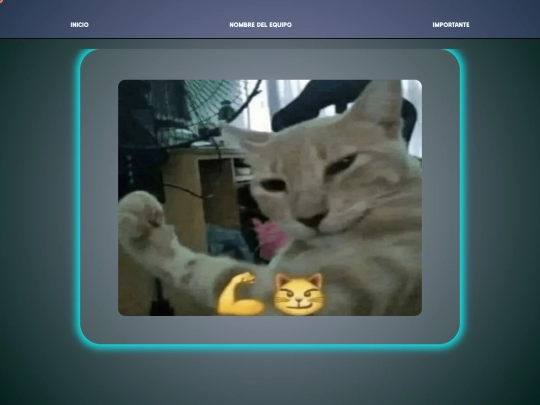 importante screenshot