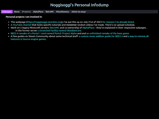 pages/projects screenshot