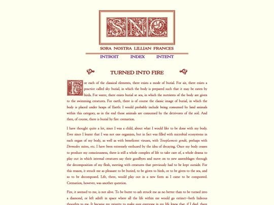 posts/turnedintofire screenshot