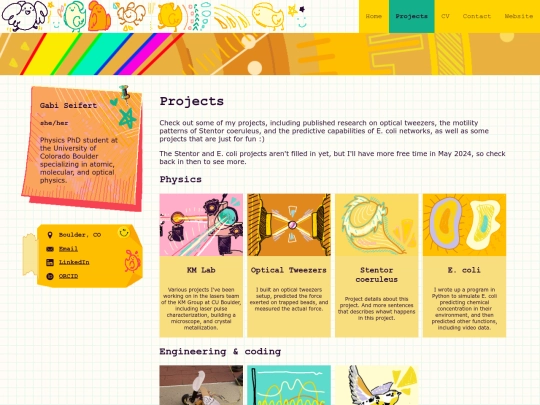 projects screenshot