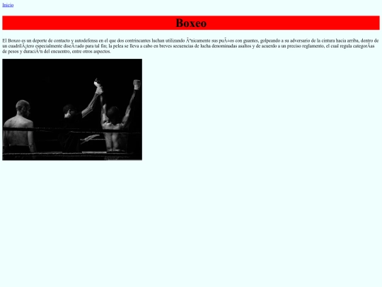Proyectodeportes/boxeo screenshot