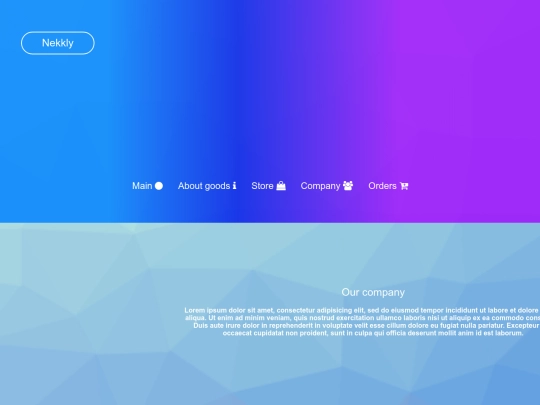company screenshot