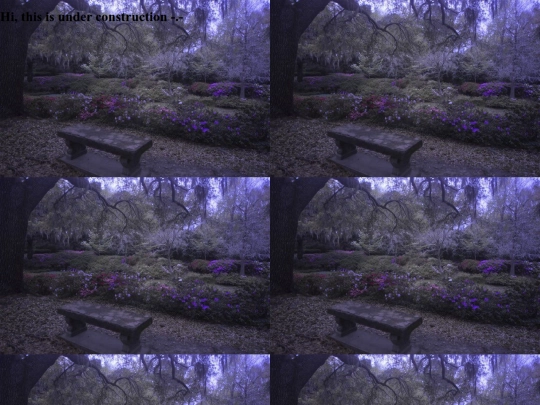 garden screenshot