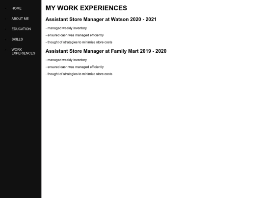 WORK EXPERIENCE screenshot