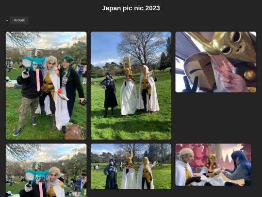 Convention/Japanpicnik/Japanpicnik screenshot
