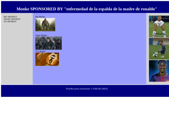 html_divy/strona screenshot