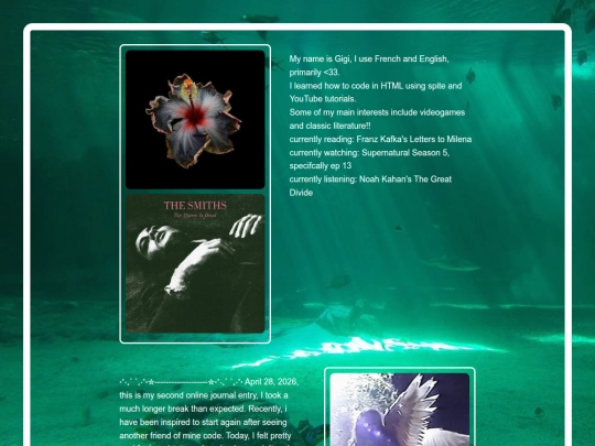 expirement screenshot