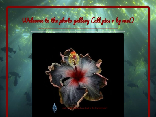 gallery screenshot