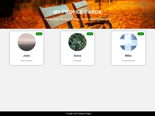 css task screenshot