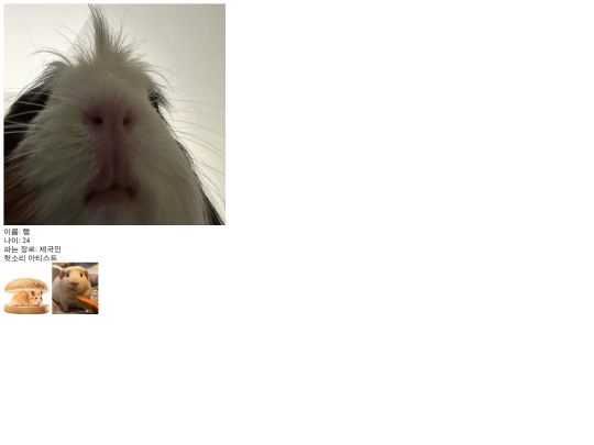 profile screenshot