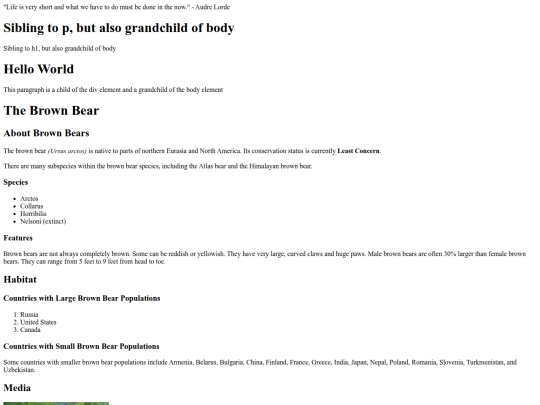 codecademyHTMLpracticefile screenshot