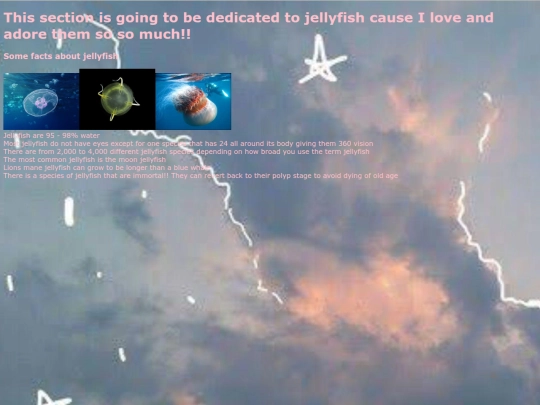 jellyfish screenshot