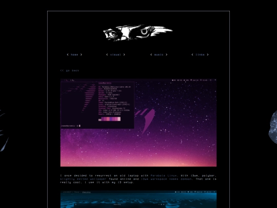 visual/linux screenshot