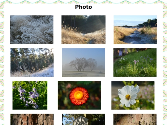 photo screenshot