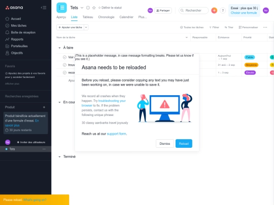 asana_template screenshot