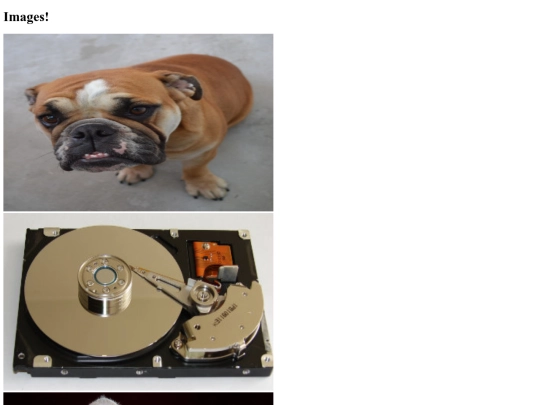 web 4 screenshot