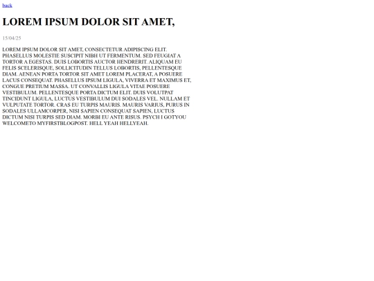 blog/lorem screenshot