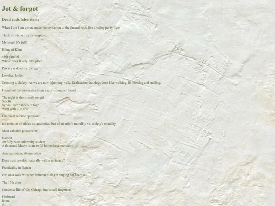 notes screenshot