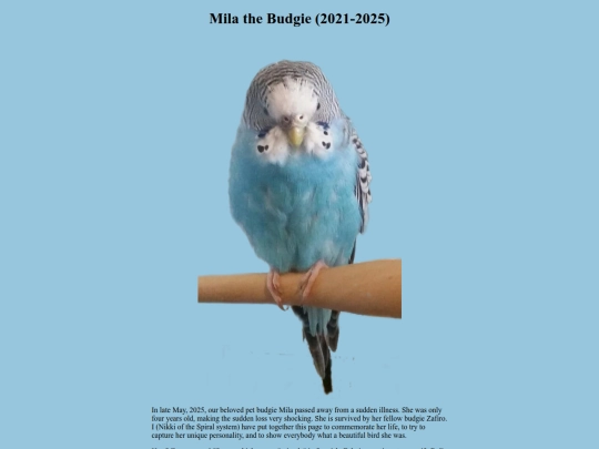 M/mila screenshot