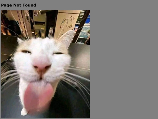 not_found screenshot