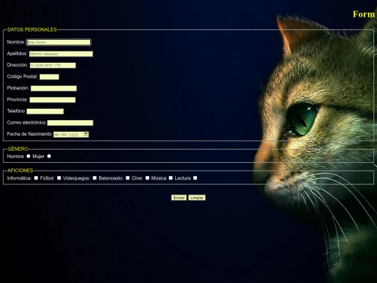 FormularioPro screenshot