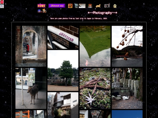 photography screenshot