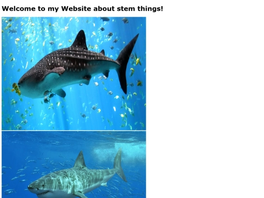 stemgallery screenshot
