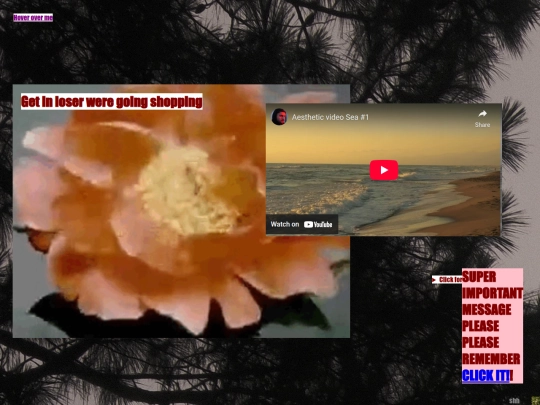 xxlweb screenshot