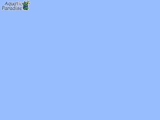 header screenshot