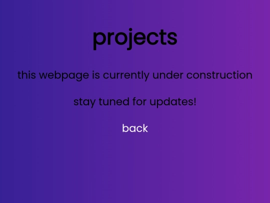 projects screenshot