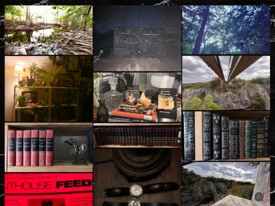 gallery screenshot