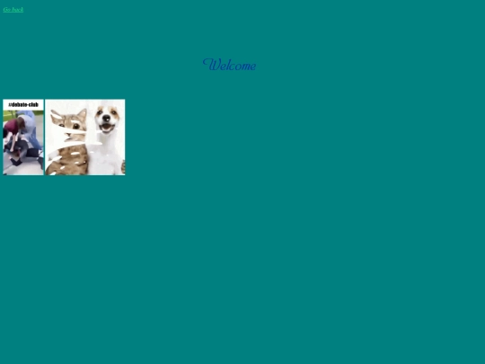 media screenshot