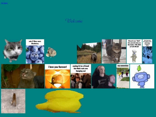 media/media screenshot