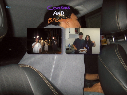 trips/cookies screenshot