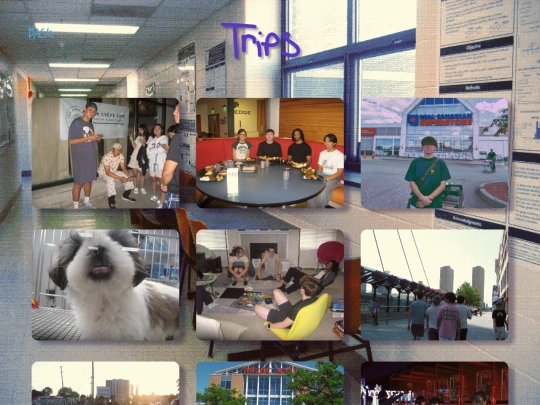 trips/trips screenshot
