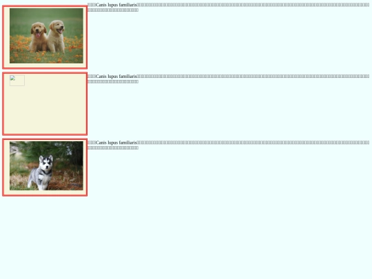 20221114/test01 screenshot